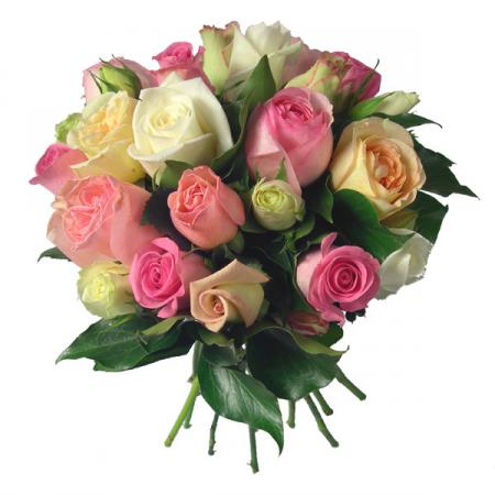 ������ ������ ������