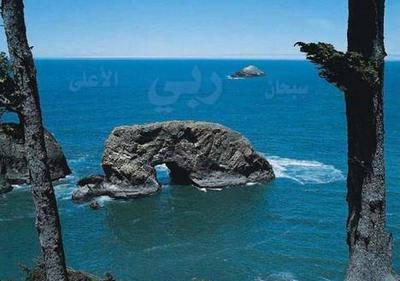 �� ��������  ������ ���