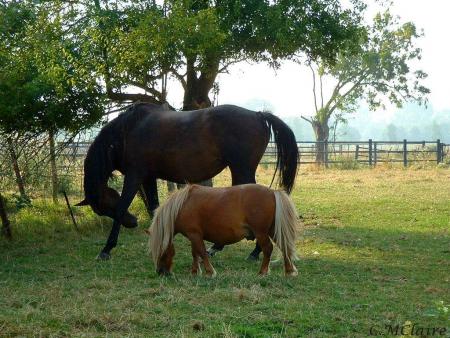 vous etes d'accord avec moi c est fantastique