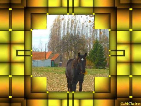 et celui la aussi est beau